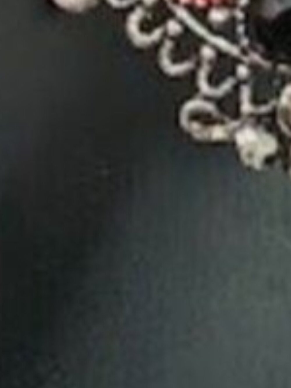 Gorgeous silver earrings
